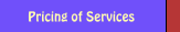 Pricing of Services